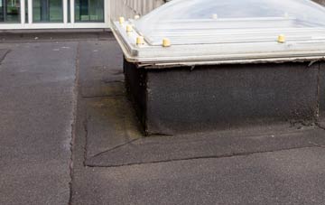 disadvantages of Field Dalling flat roofs