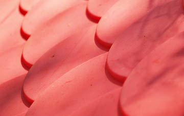 Field Dalling plastic roof costs