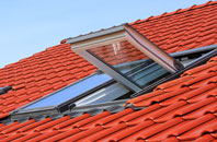 Field Dalling roof window